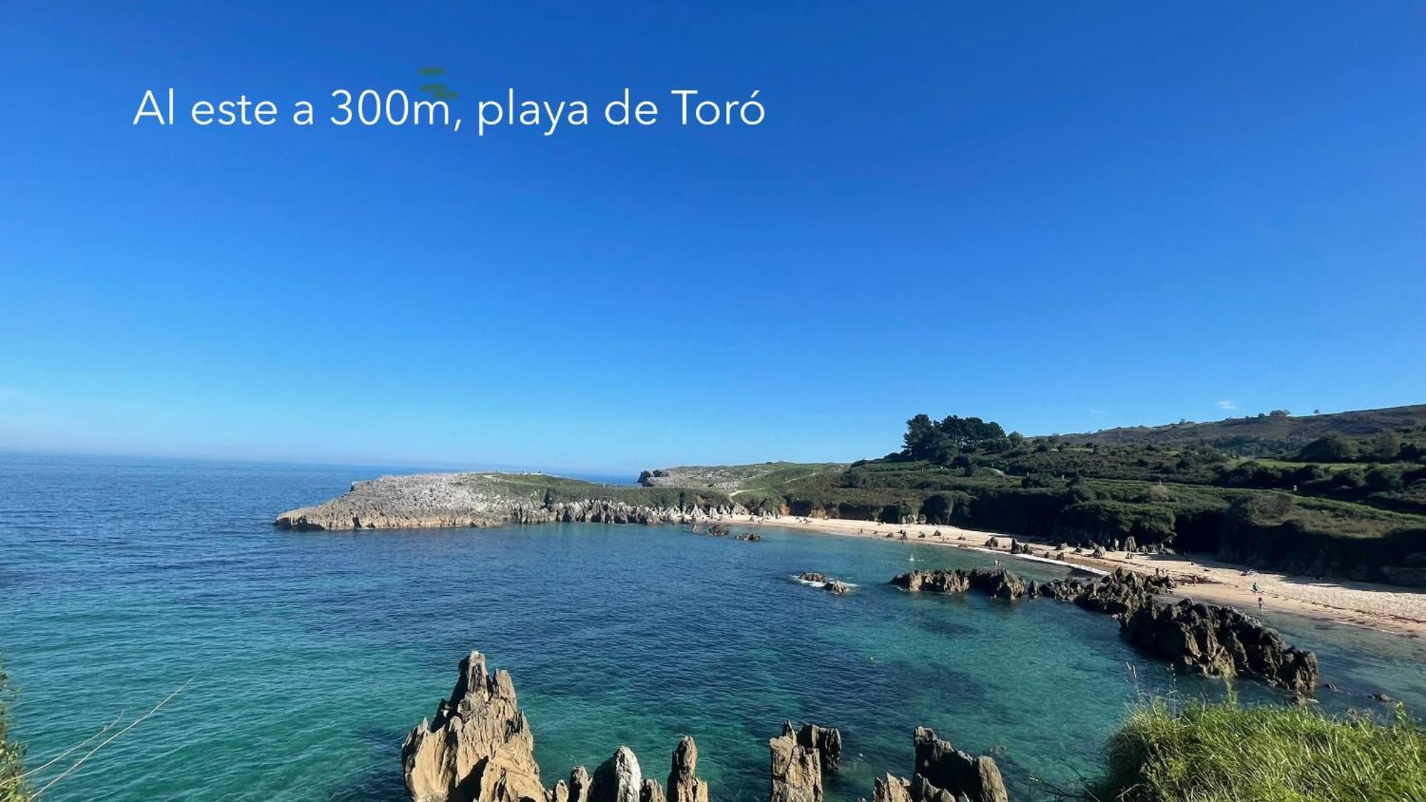 De Toro Apartamento